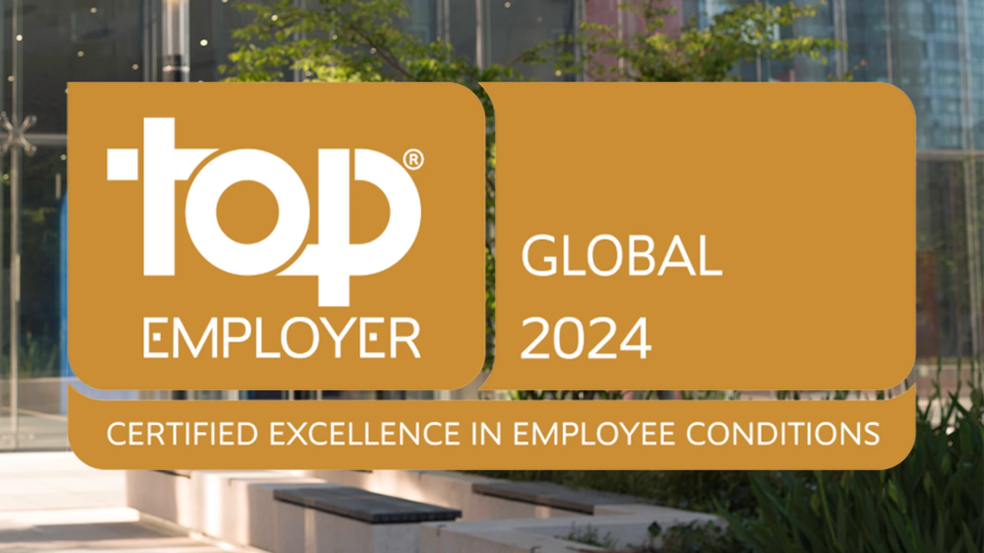Top Employer 2024