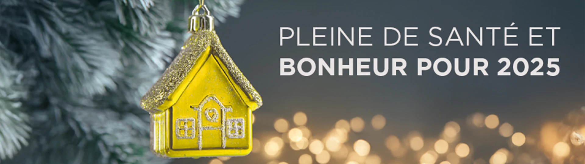Noël 2024