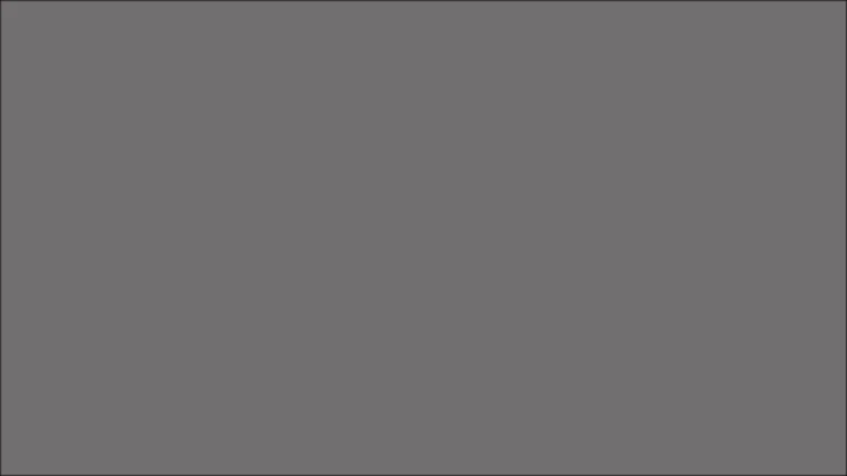 gris acier